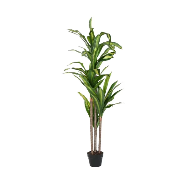 DRACAENA VERDE Planta artificial de La Casa de Carmen